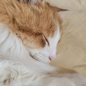 Meet your Posher, Tanya